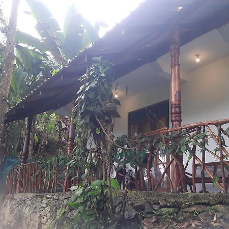 Dulmini Homestay เอลลา ภายนอก รูปภาพ