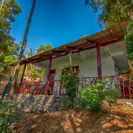 Dulmini Homestay เอลลา ภายนอก รูปภาพ