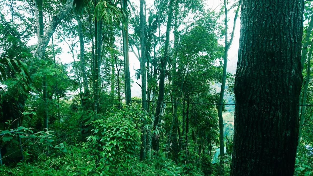 Dulmini Homestay เอลลา ภายนอก รูปภาพ