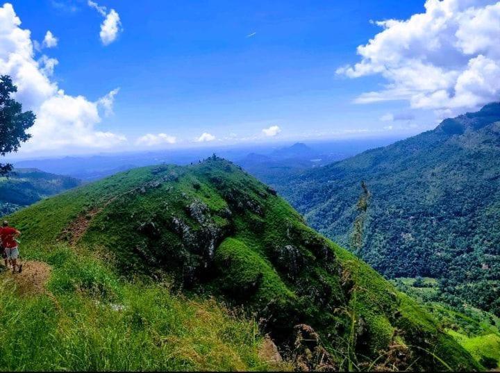 Dulmini Homestay เอลลา ภายนอก รูปภาพ